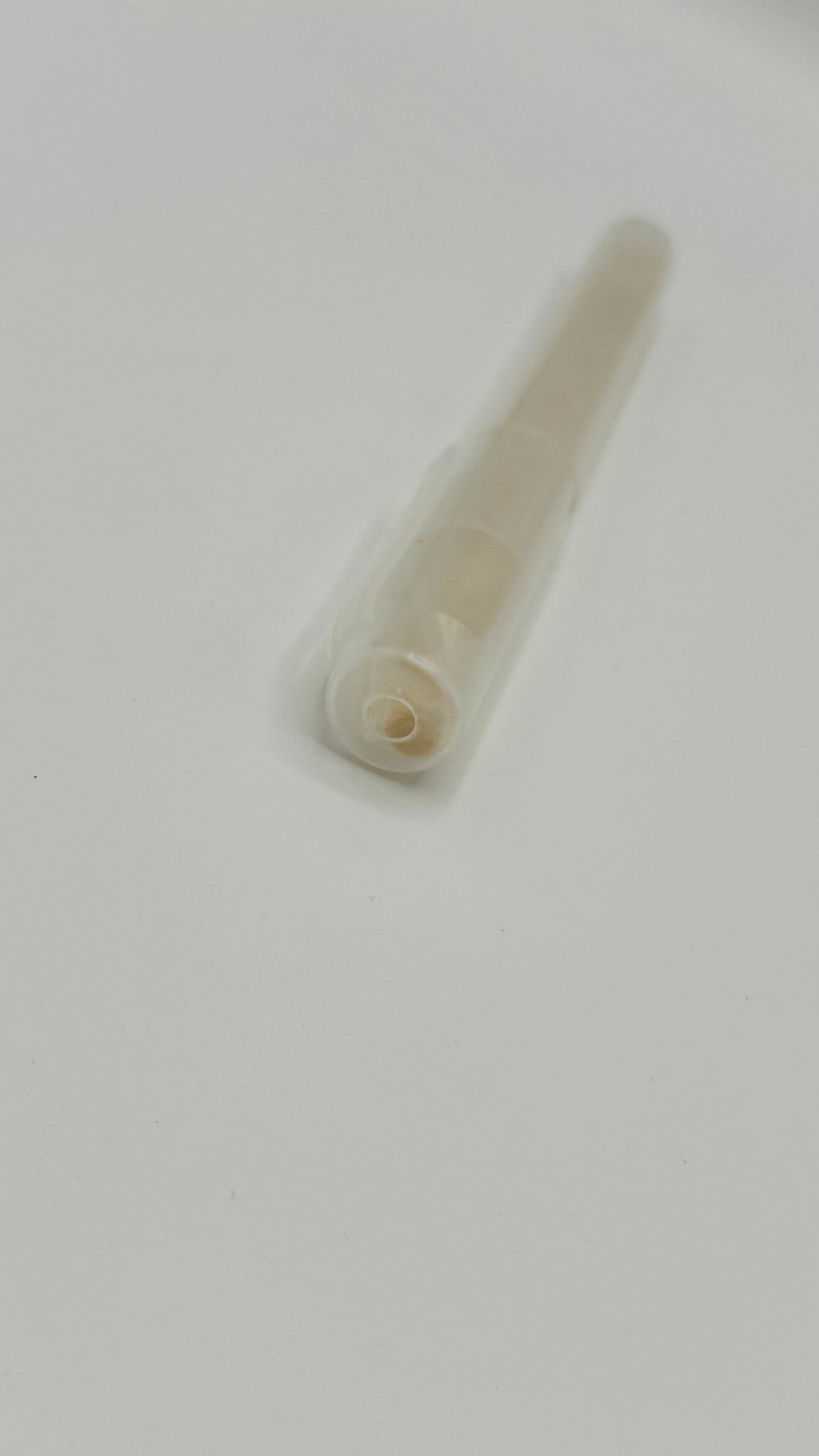 Miswak – Klein mit Etui (Natur-Zahnbürste)