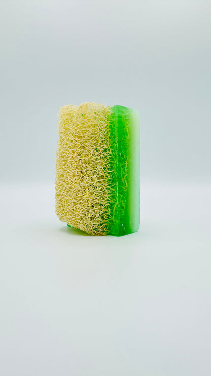 Aloe-Vera Seife mit Luffa – Naturseife 100g