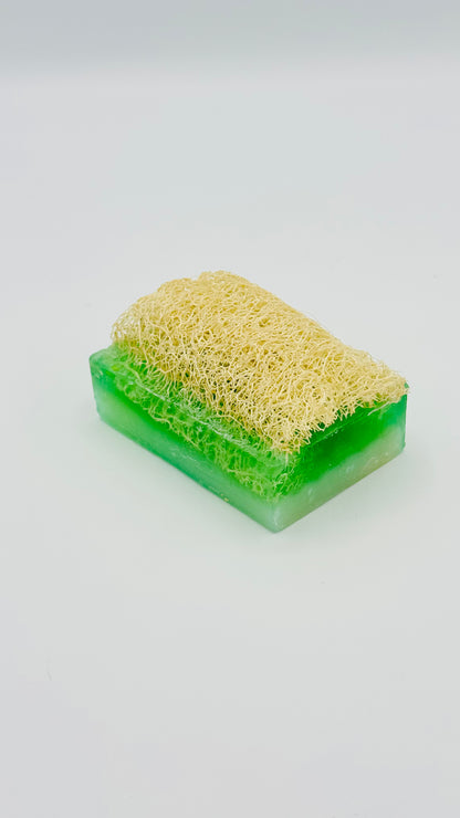 Aloe-Vera Seife mit Luffa – Naturseife 100g